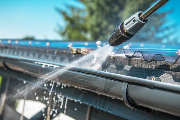 Best Roof Pressure Washing  in Crane, TX