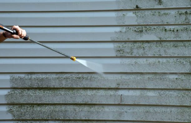 Best Affordable Pressure Washing  in Crane, TX