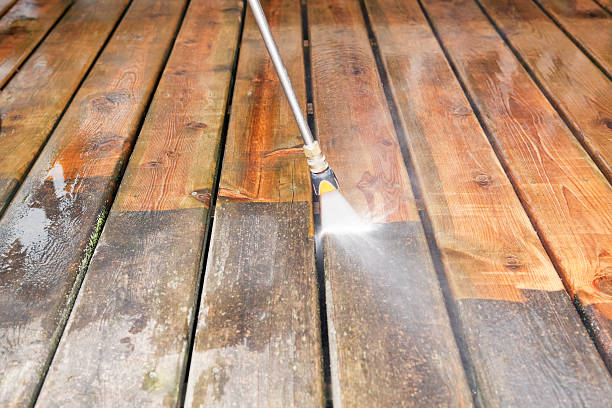 Best Roof Pressure Washing  in Crane, TX