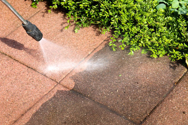 Best Power Washing Near Me  in Crane, TX