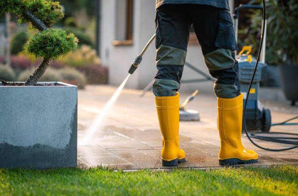 Best Roof Pressure Washing  in Crane, TX